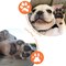 Dog Paw Print Kit - Christmas Ornament Kit Dog Cat Pet Paw Print Impression Kit Paw Print Stamp Pad for Dog Nose Print Kit Keepsake Safe Clean Touch Ink Pads 2 Pack Footprint Handprint Kit